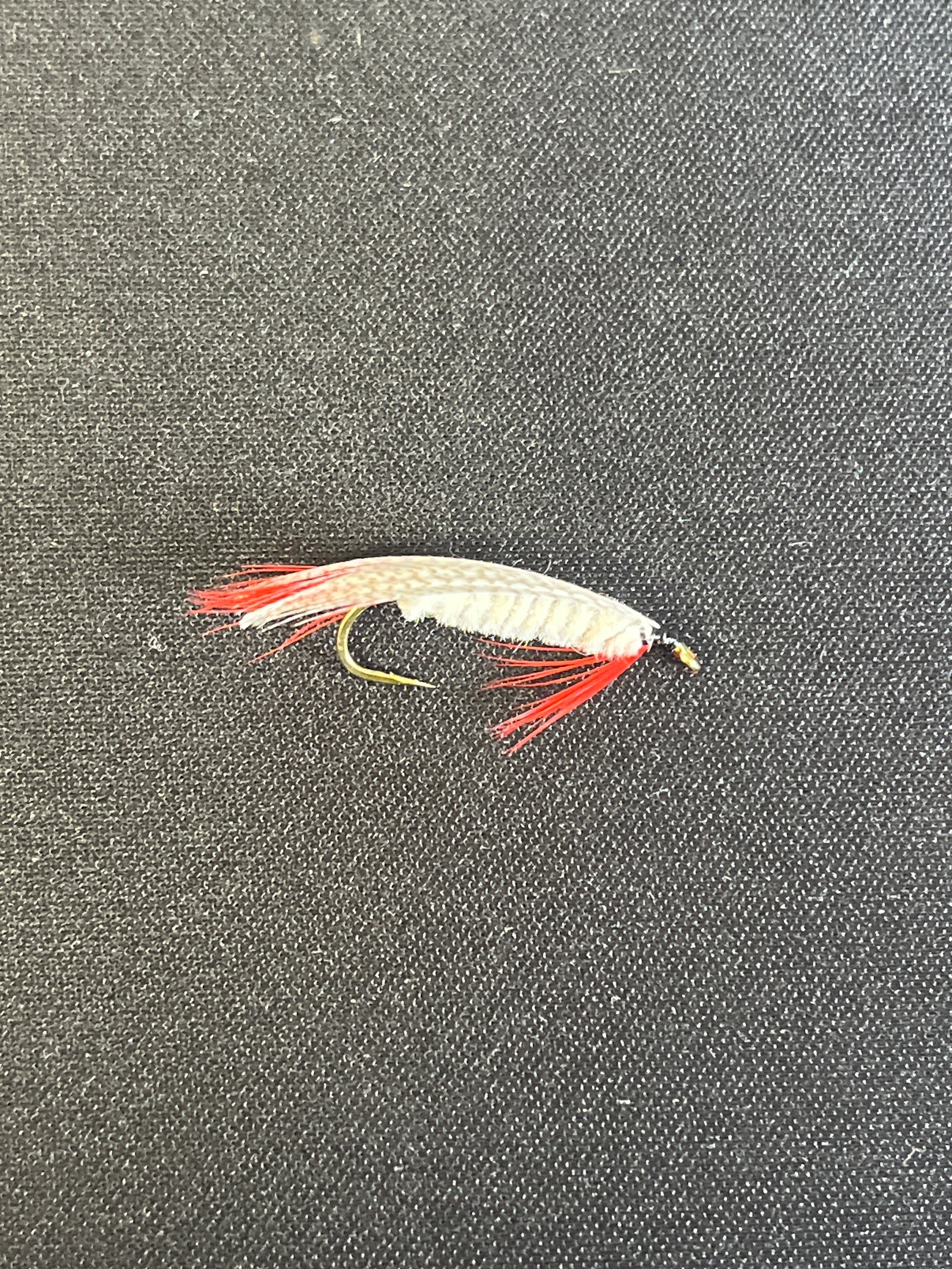 MISSIONARY TROUT FLY