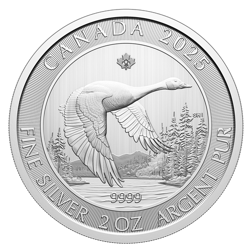 2025 $10 2 Oz 99.99% Pure Silver Coin- Canada Goose (Bullion)Royal Canadian Mint