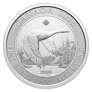2025 $10 2 Oz 99.99% Pure Silver Coin- Canada Goose (Bullion)Royal Canadian Mint