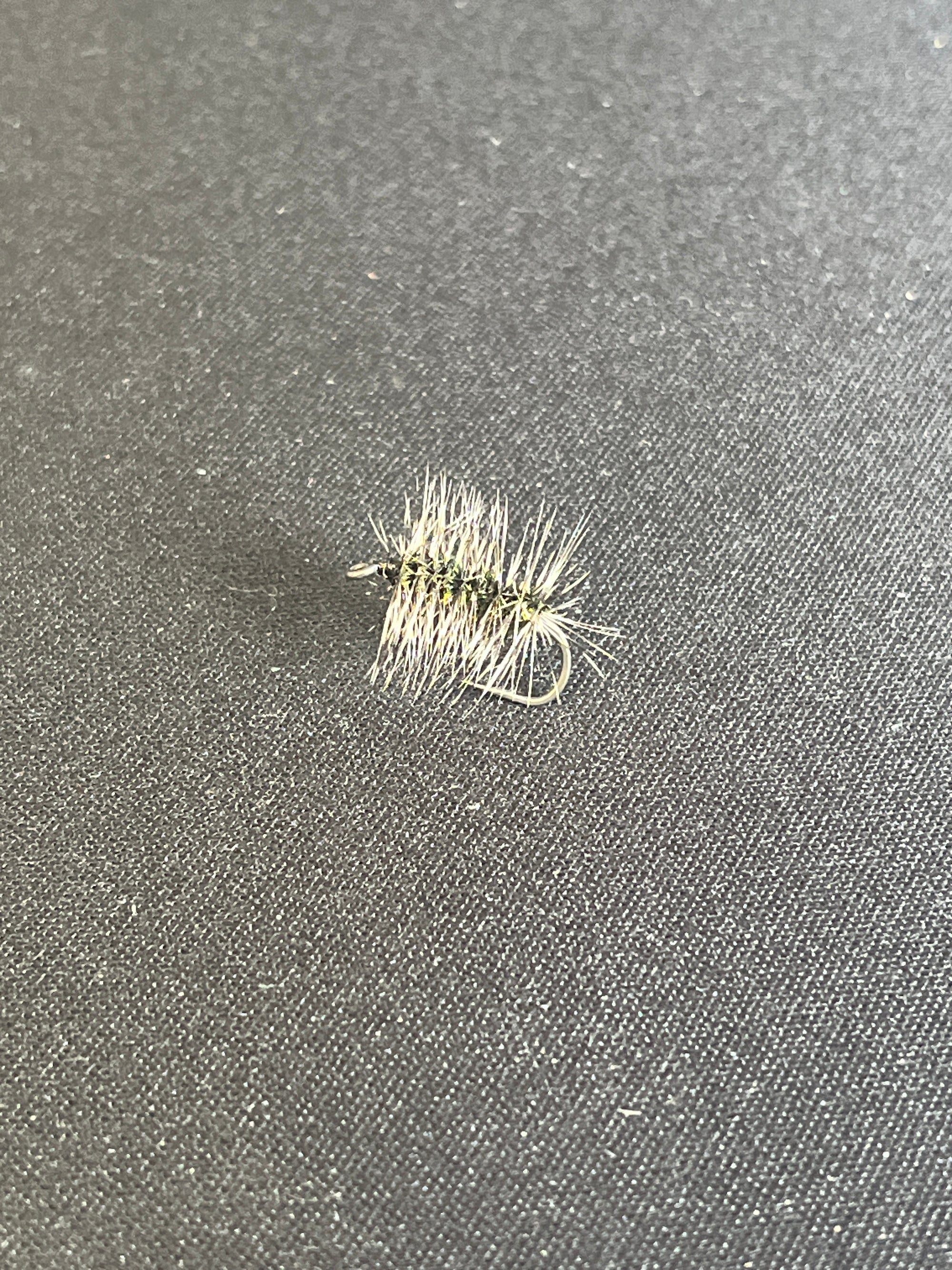GRIFFITH'S GNAT FLY