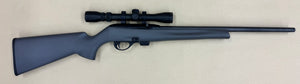 REMINGTON 597 - SEMI AUTO - 22LR - MAGAZINE FED - 20" BARREL - 3-9X32 SCOPE