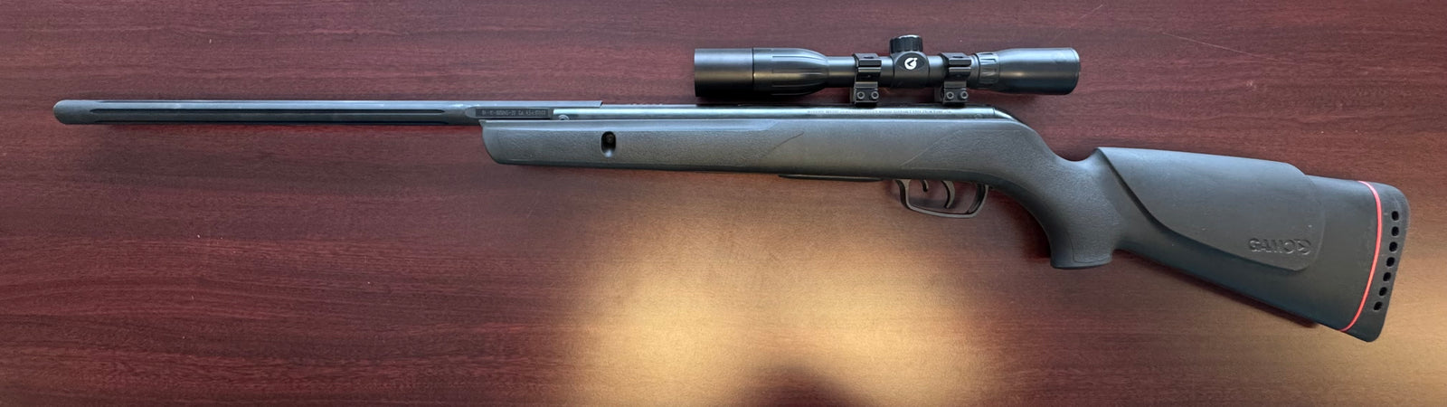 GAMO VARMINT .177 1250 FPS INCLUDES 4X32 SCOPE