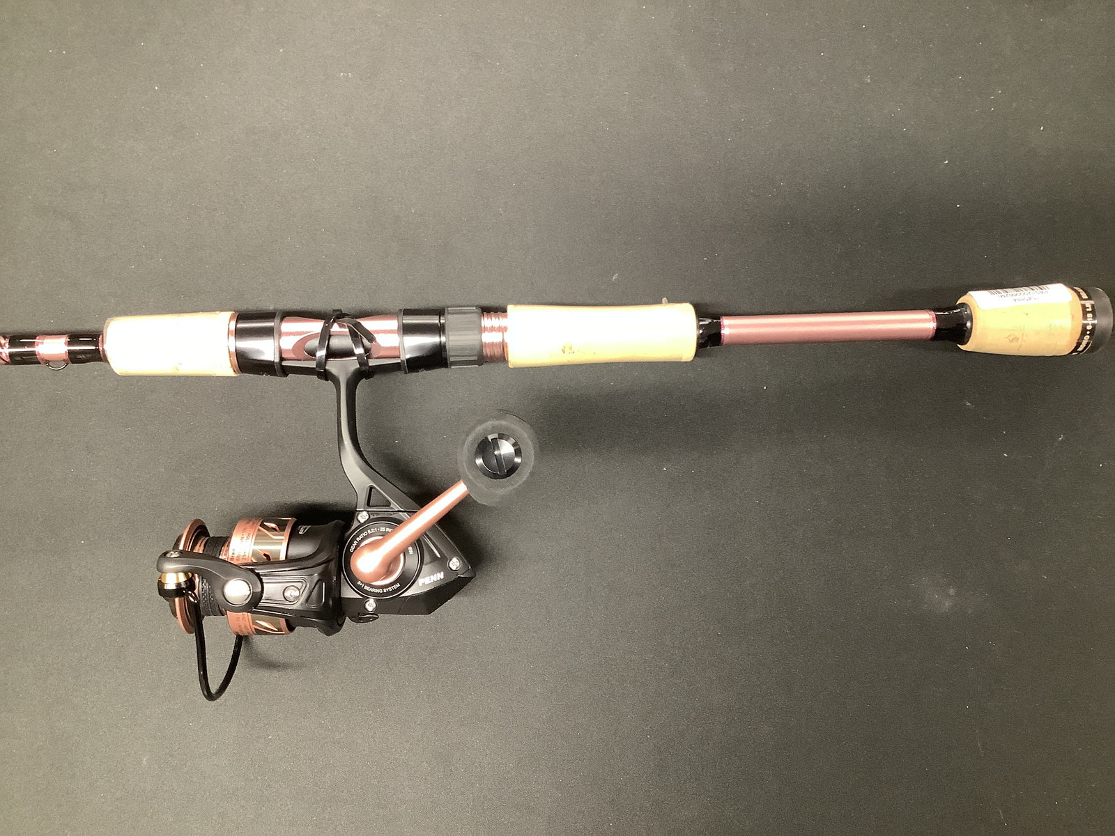 PENN PASSION 2 FISHING ROD/REEL