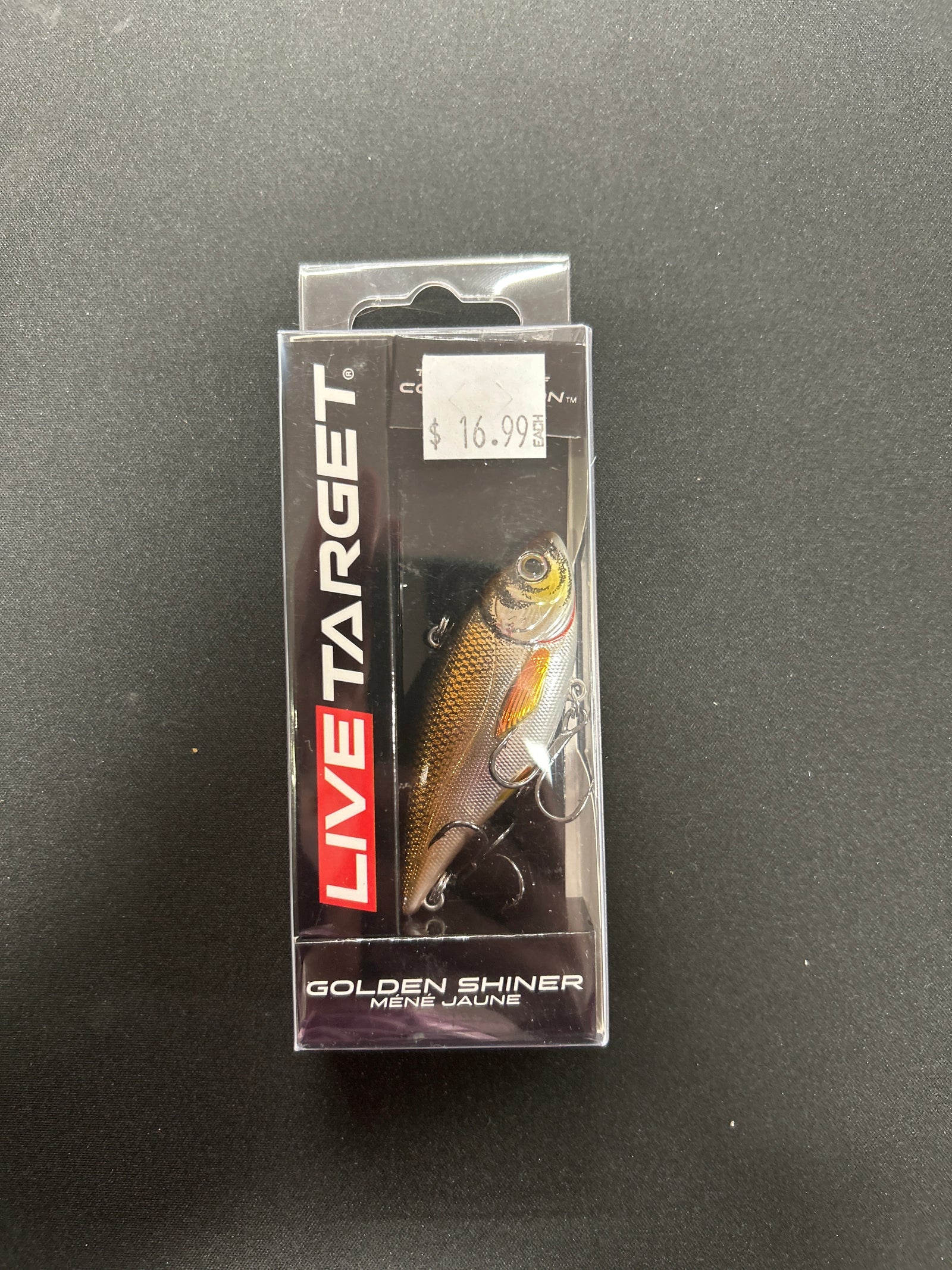 LIVE TARGET GOLDEN SHINER