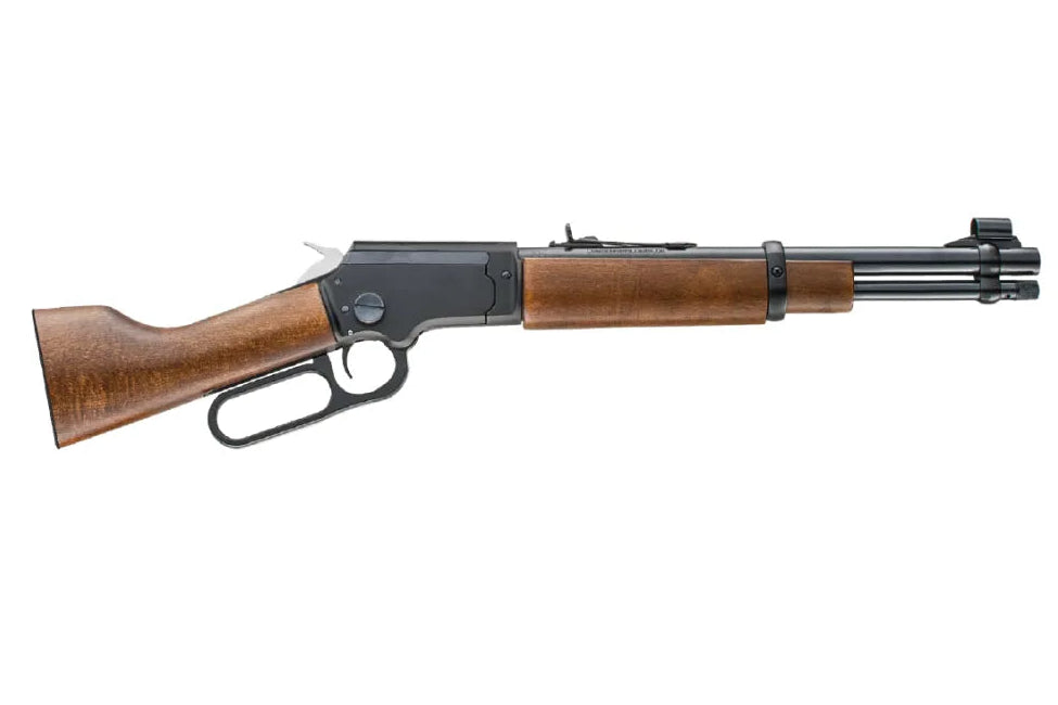CHIAPPA MODEL LA322 BANDIT 22LR