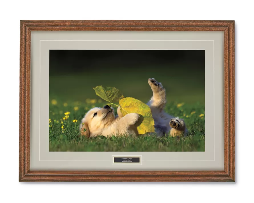 GOLDEN DAYS PRINT