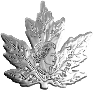 The Canadian Maple Leaf Shape Coin 2015 $20 1 oz Fine Silver Coin – Royal Canadian Mint